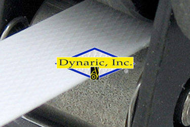 Dynaric, Inc.
